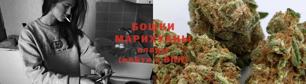 ПСИЛОЦИБИНОВЫЕ ГРИБЫ Алзамай