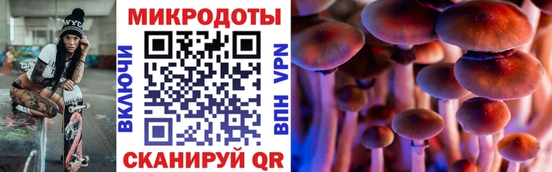 купить  сайты  Ревда  Псилоцибиновые грибы Psilocybine cubensis 